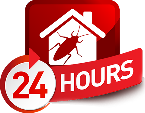 24 Hour Pest Control | Emergency Exterminator Services ...