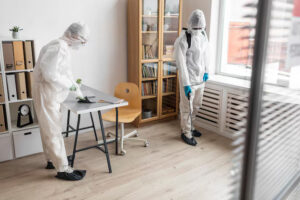 Professional pest inspection service London
