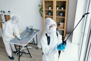 bed bug control treatment service